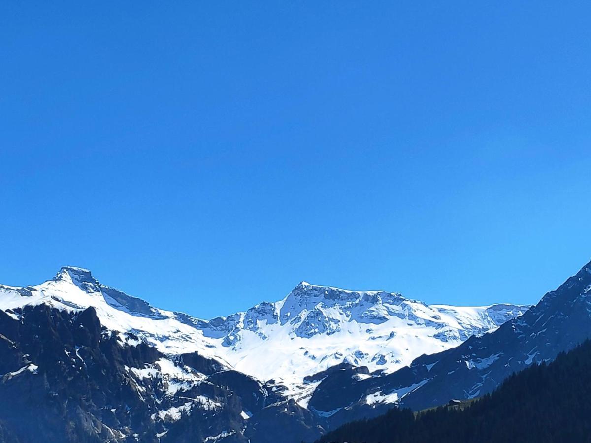 Chuenislodge2- Zwei Balkone, Gemuetlicher Kamin, Top Aussicht Adelboden Eksteriør bilde